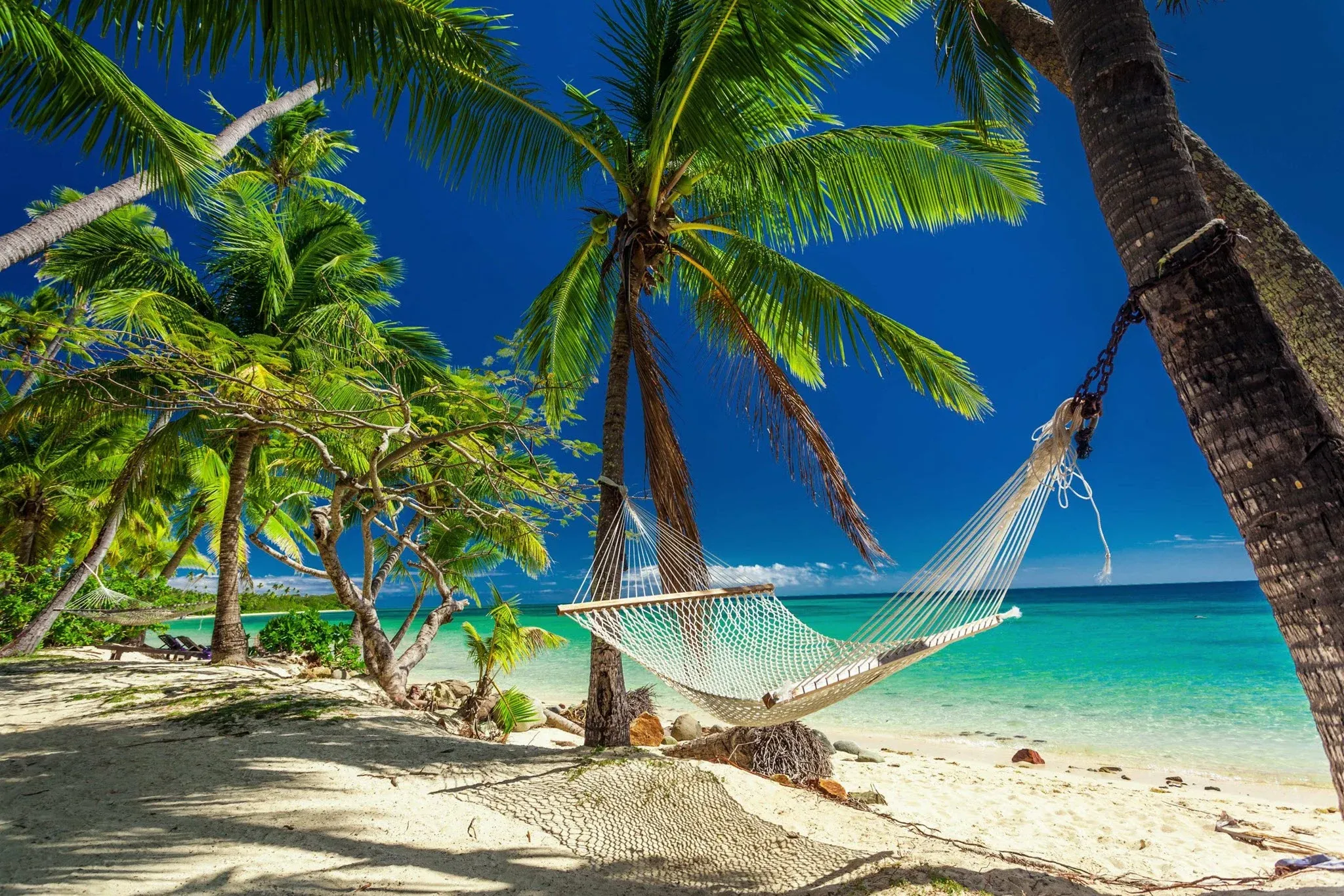 Hammock between palms on a white-sand beach