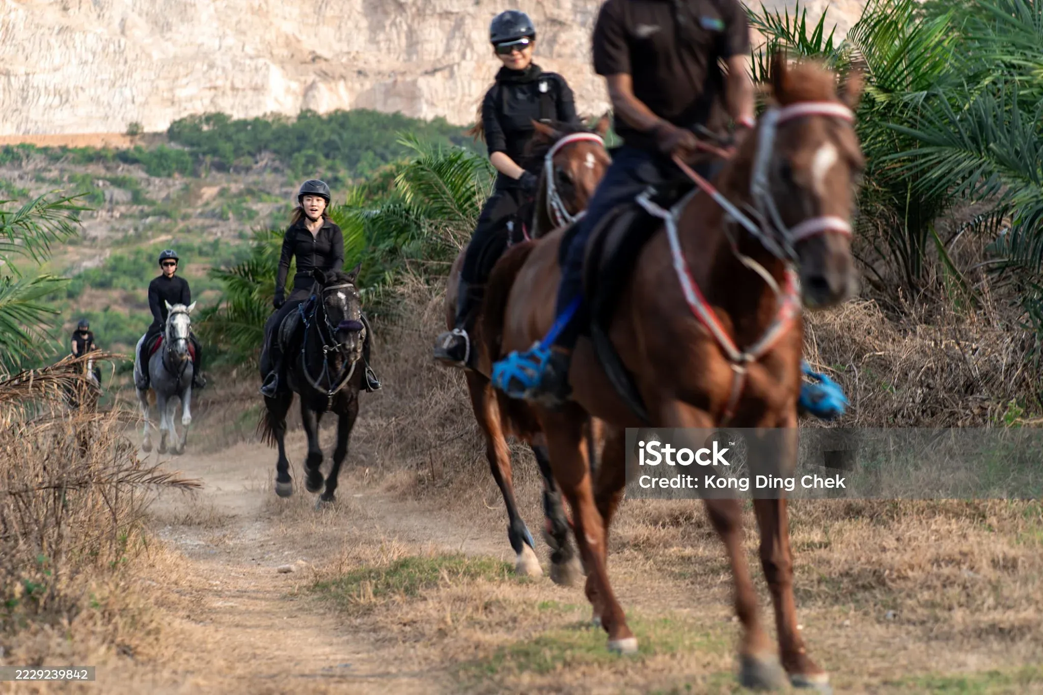 Riders on a bush track