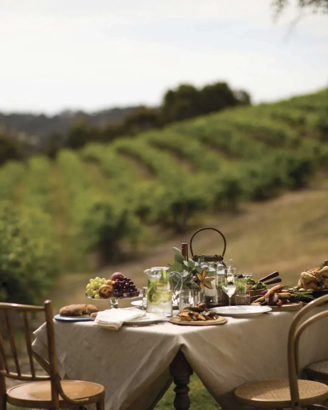 Long lunch among the vines