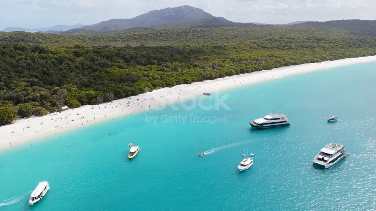 Boats moored in the Whitsundays
